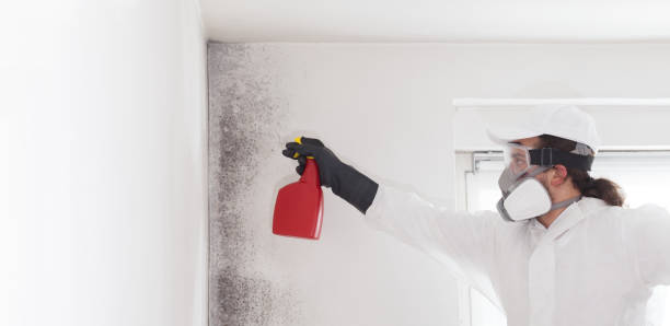 Crawl Space Mold Removal in Lorenzo, TX